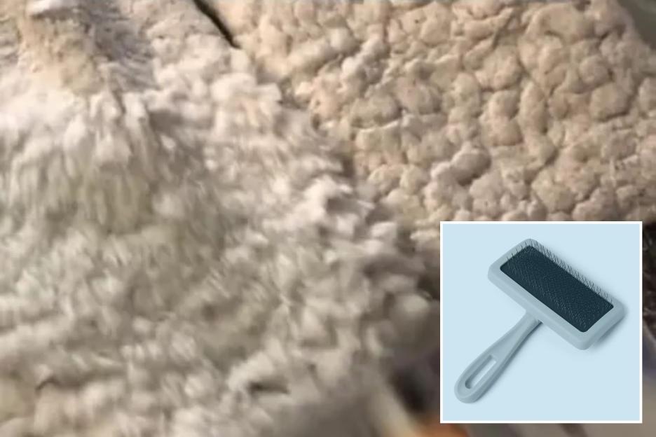 Revive Your Sherpa Coat or Teddy Fleece in Seconds with This £3.50 Hack!