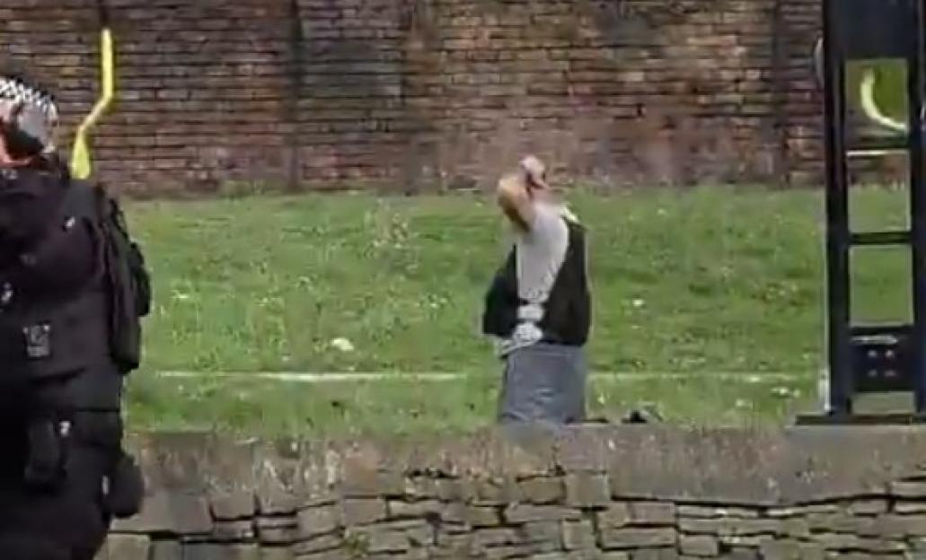 NINTCHDBPICT001068262371