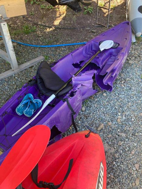 Damage to a purple kayak.