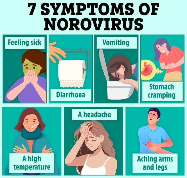 Illustration showing the 7 symptoms of Norovirus: feeling sick, diarrhoea, vomiting, stomach cramping, a high temperature, a headache, and aching arms and legs.