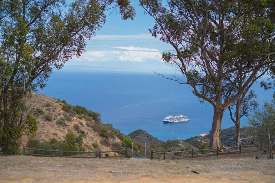 At least 2 dead & 2 injured after medical helicopter crashes into ocean as desperate search launched for missing person