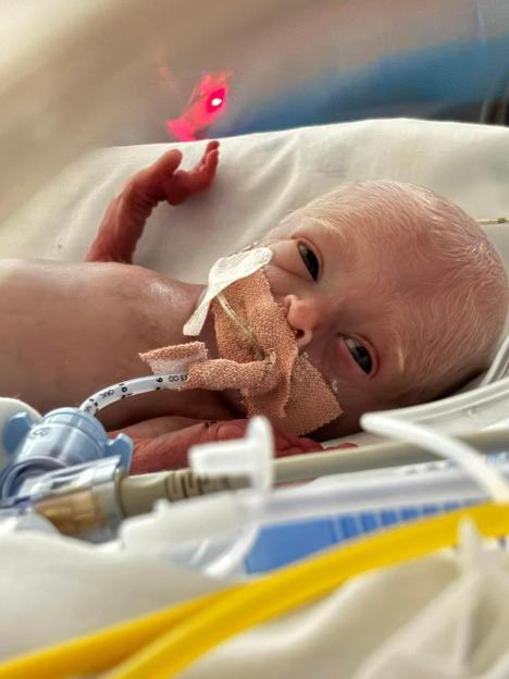 NINTCHDBPICT001060150186