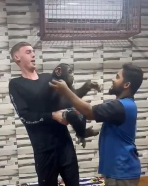NINTCHDBPICT000956560917