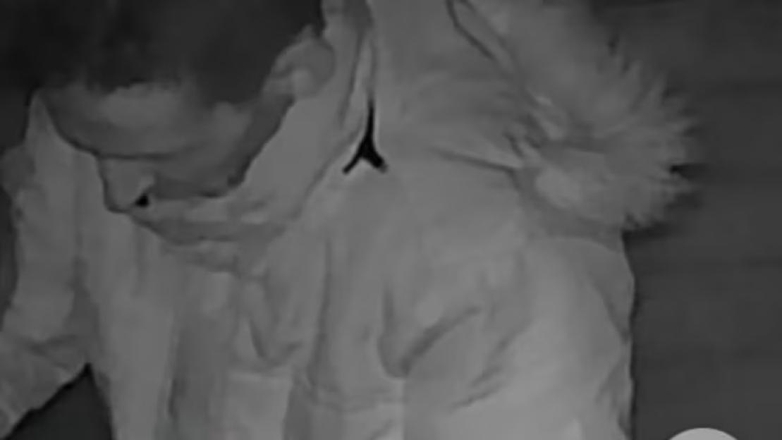 Urgent Manhunt Underway After Disturbing Reports of Horse Assault; Police Release CCTV Footage