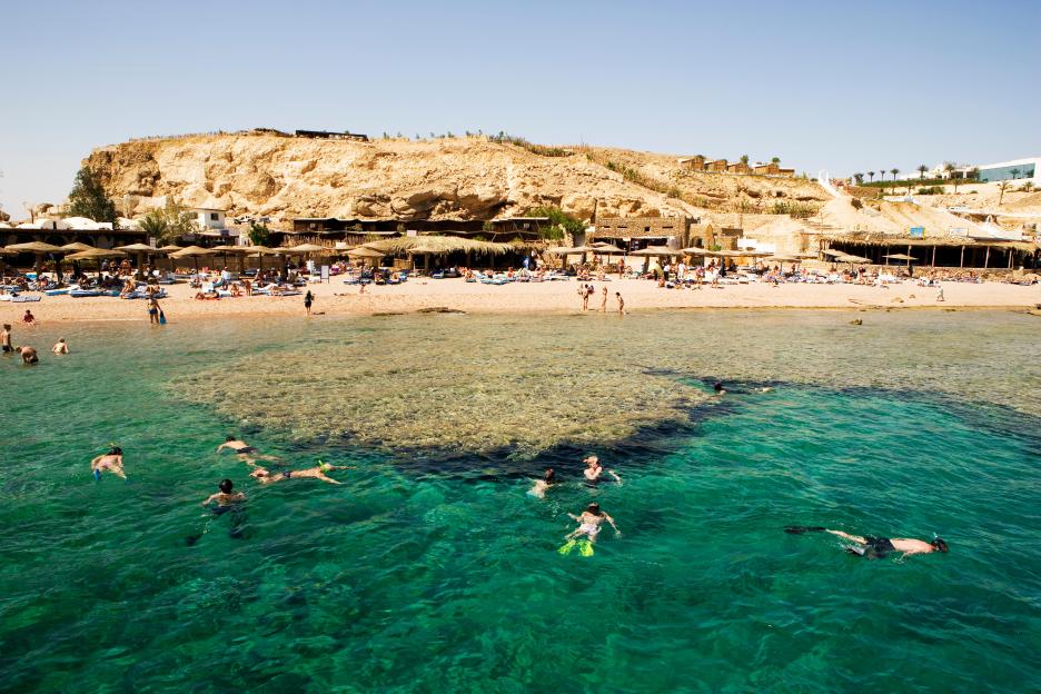 People swimming and snorkeling in the clear blue-green waters of Sharks Bay, Egypt, with a sandy beach and rocky cliffside resort in the background.