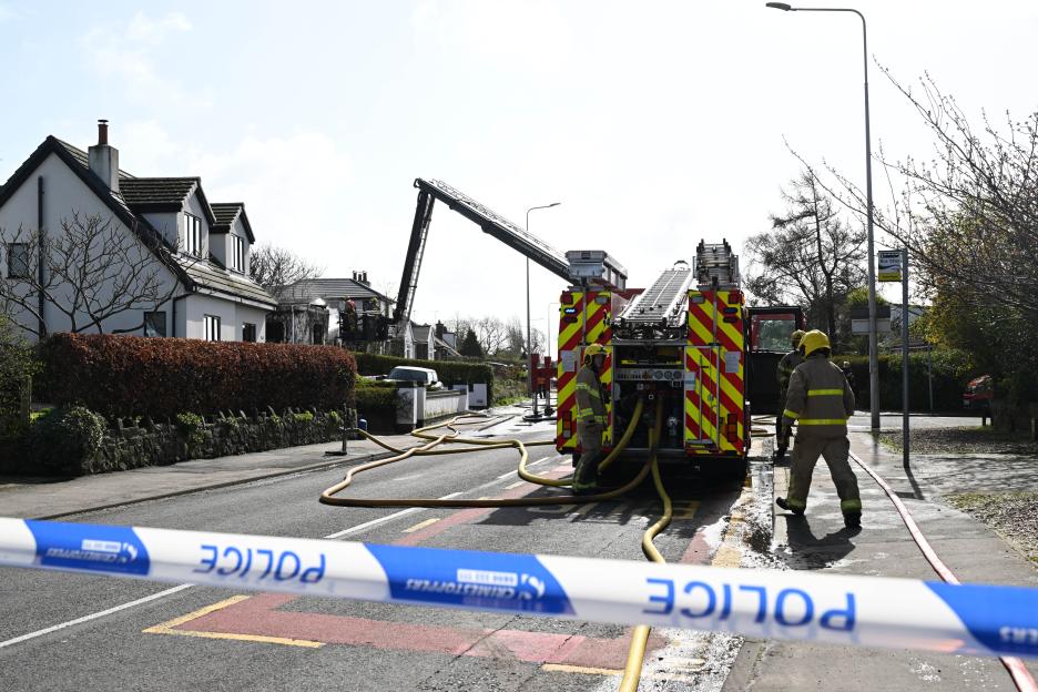 NINTCHDBPICT001069806170