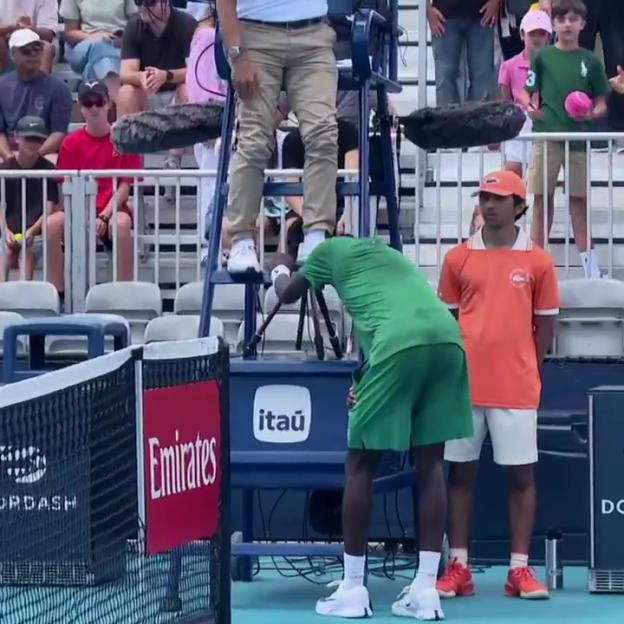 NINTCHDBPICT001067949350