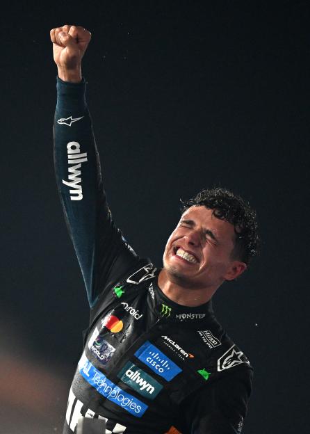 *** BESTPIX *** F1 Grand Prix of Abu Dhabi