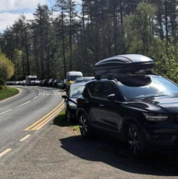Kerb parking on double yellow lines at Newborough Forest, causing traffic congestion.