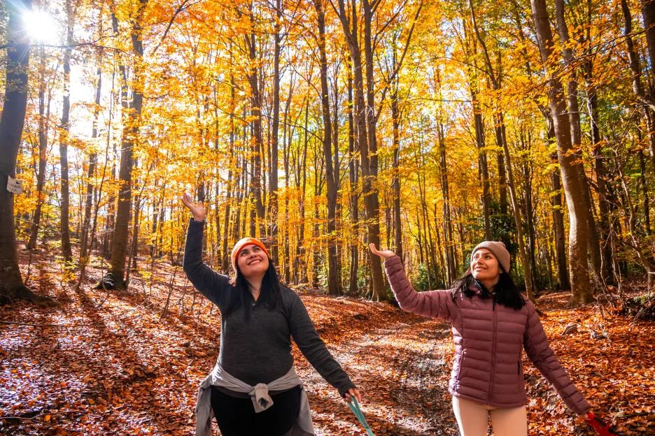 New projects launched to help people get into nature to improve wellbeing