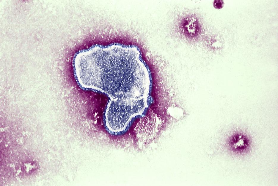 Lung Infection Linked to Coughs and Colds May Help Prevent Cancer Spread