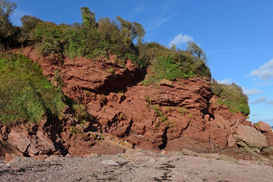Devonian era rocks at Oyster Cove, Devon, UK.