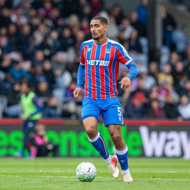 Crystal Palace v Everton - Premier League
