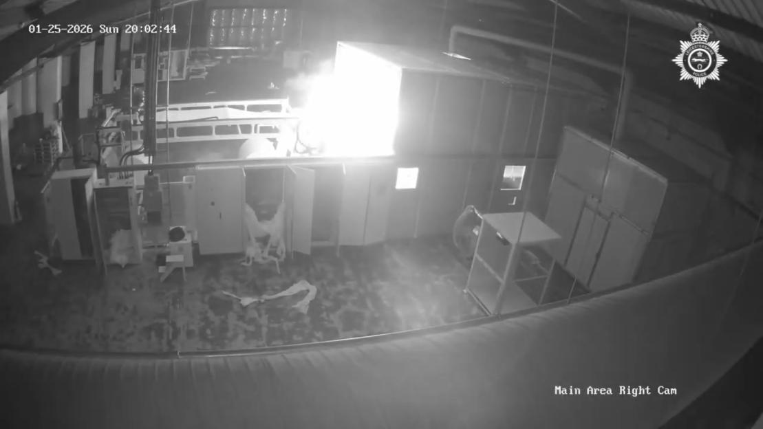 "31-Year-Old Arsonist Caught on Camera Igniting Fire at Factory with Stacks of Toilet Paper!"