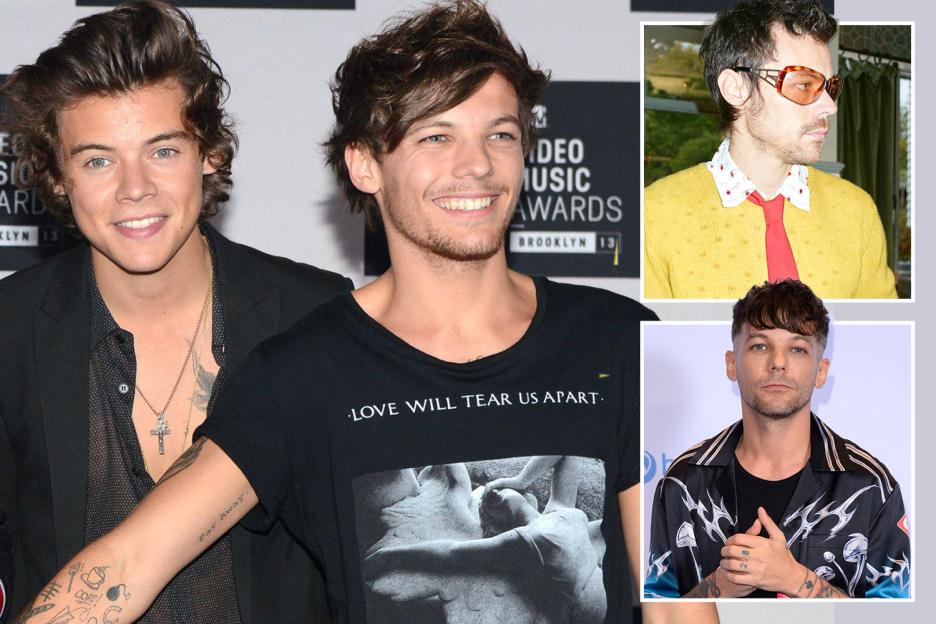 Unveiling the 'Larry' Conspiracy: What Harry Styles & Louis Tomlinson Fans Reveal About Zoe Kravitz