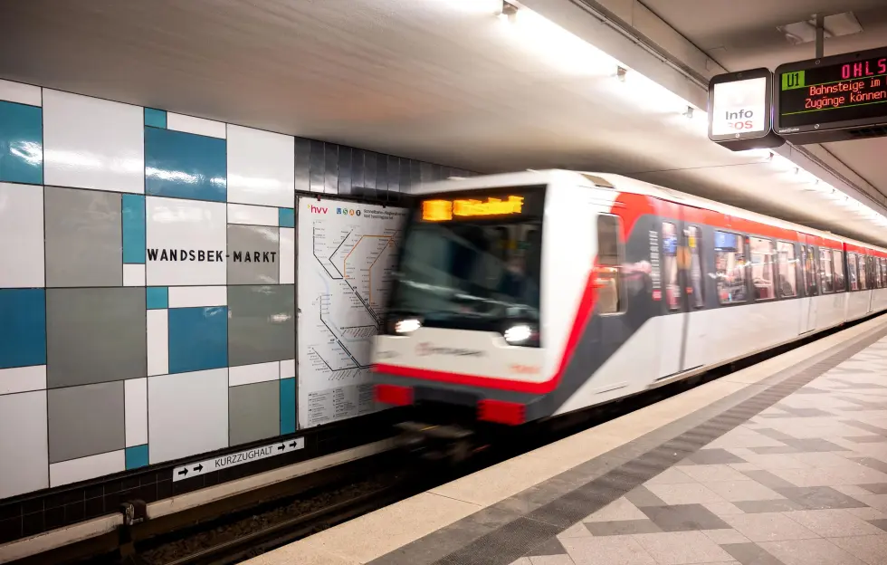 Tragic Incident: 18-Year-Old Woman and Sudanese Migrant Killed by Train in Shocking Scene Witnessed by Passengers