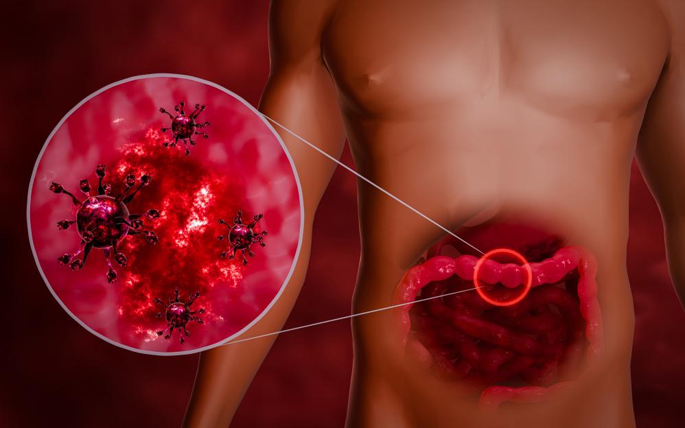 NINTCHDBPICT001052581891