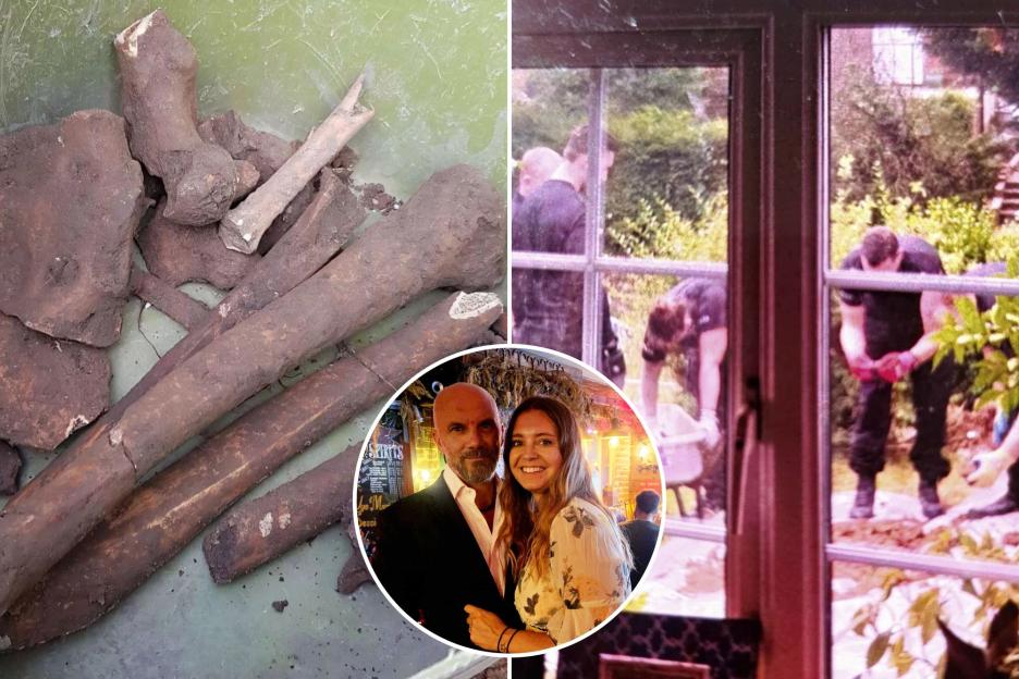 I Rushed Home After Builders Made a Chilling Discovery – What I Thought Was a Joke Turned My Garden into a Crime Scene!