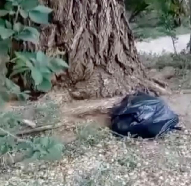'Heartbreaking Discovery: Two 11-Year-Old Girls Find Newborn Abandoned in a Bag Under a Tree – Police Search for Mother'
