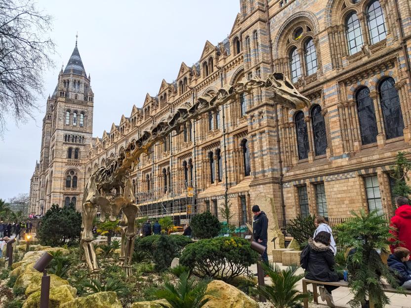 The Dippy the Diplodocus skeleton outside the Natural History Museum in London.