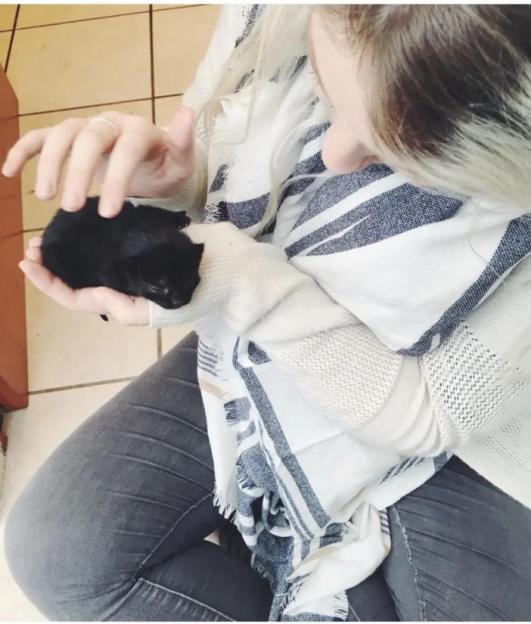 A person holding a tiny black kitten in their hands.