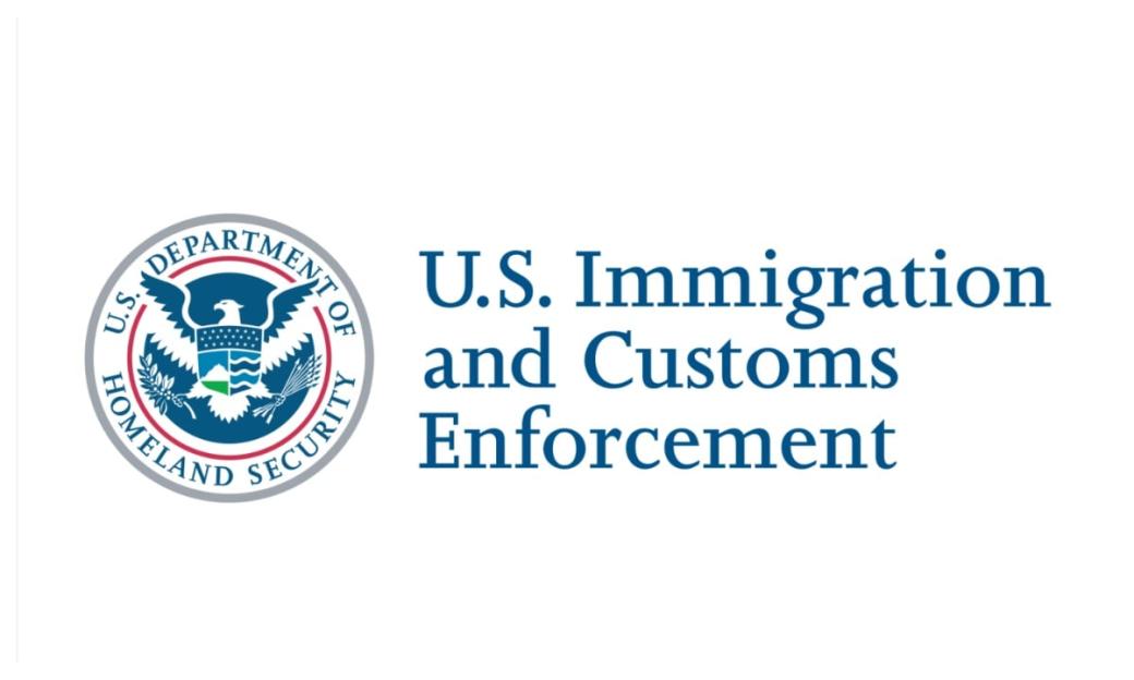 US Releases New List of 10 Nigerians Facing Deportation Due to Criminal Charges [See Full List]