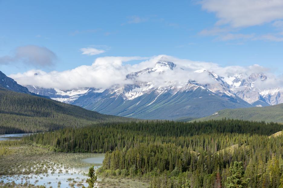 Saskatchewan River Crossing during Summer, Banff, Canada