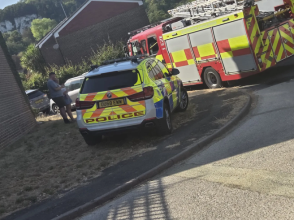 A police car and fire engine parked on a street with a man and child standing nearby.