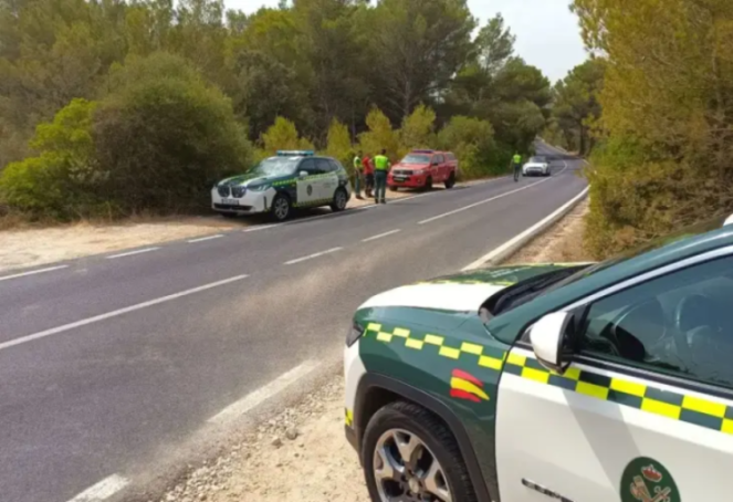 Police and emergency vehicles at a roadside incident in a wooded area.
