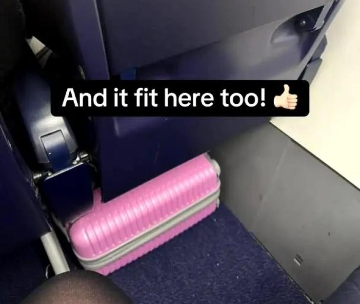 NINTCHDBPICT001054329764