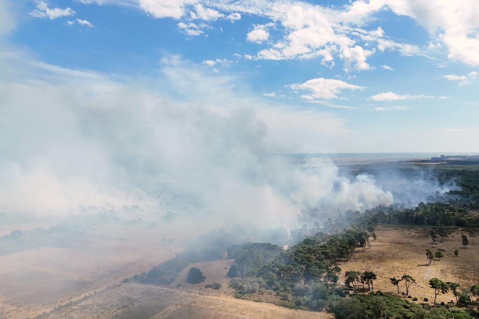Firefighters Work Through the Night as Suffolk Wildfire Grows to Size of 210 Football Fields, Prompting Family Evacuations