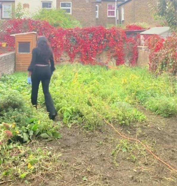 'Secured a Council House: Battling a Garden Overhaul While Others Say I Should Just Be Grateful!'