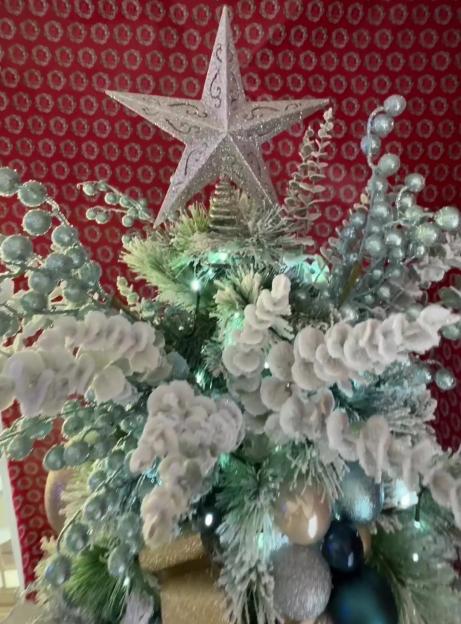 A close-up of a decorated Christmas tree with a sparkly silver star on top.