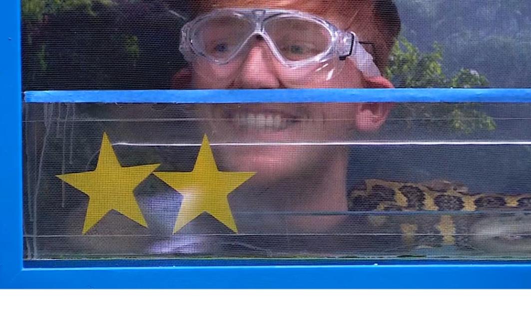 AngryGinge bangs his head on a glass container with two yellow stars and a snake.