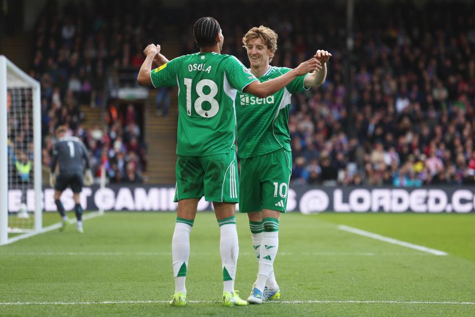 Crystal Palace v Newcastle United - Premier League