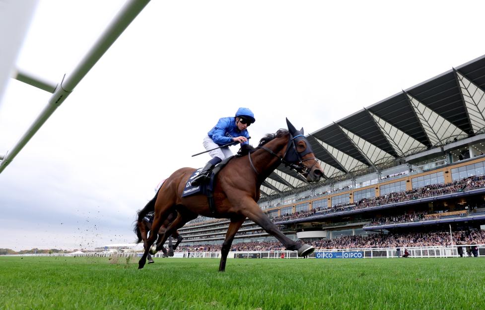 Trawlerman, ridden by William Buick, after winning the Qipco British Champions Long Distance Cup at Ascot Racecourse.