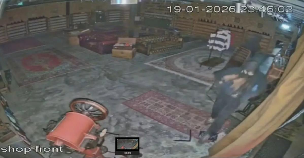 NINTCHDBPICT001052909281