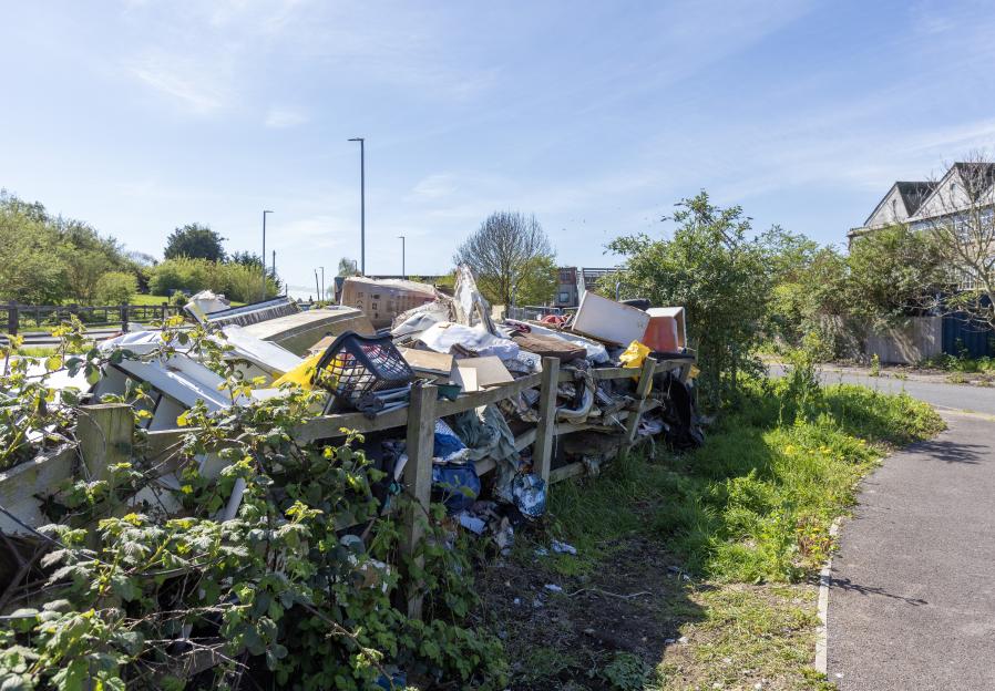 NINTCHDBPICT001072337997