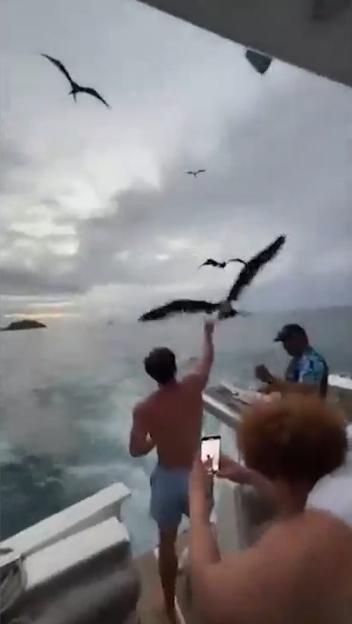 NINTCHDBPICT001073511090