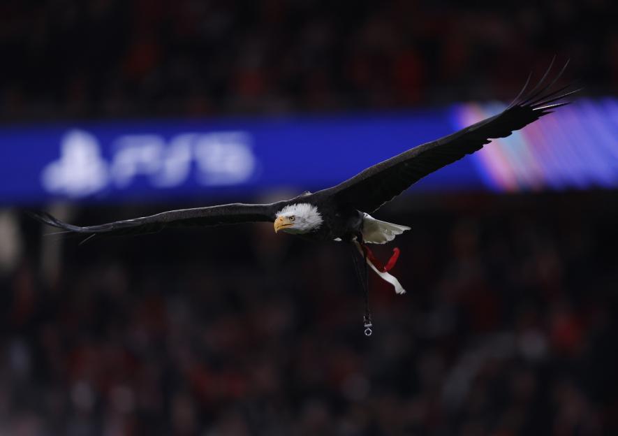 FBL-EUR-C1-BENFICA-REAL MADRID