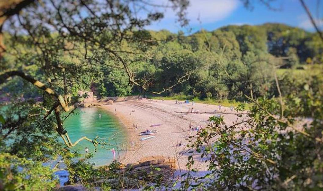 Elberry Cove beach with people relaxing on the sand and swimming in the clear water, surrounded by lush green trees.