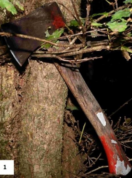 An axe found outside Desborough's cabin.