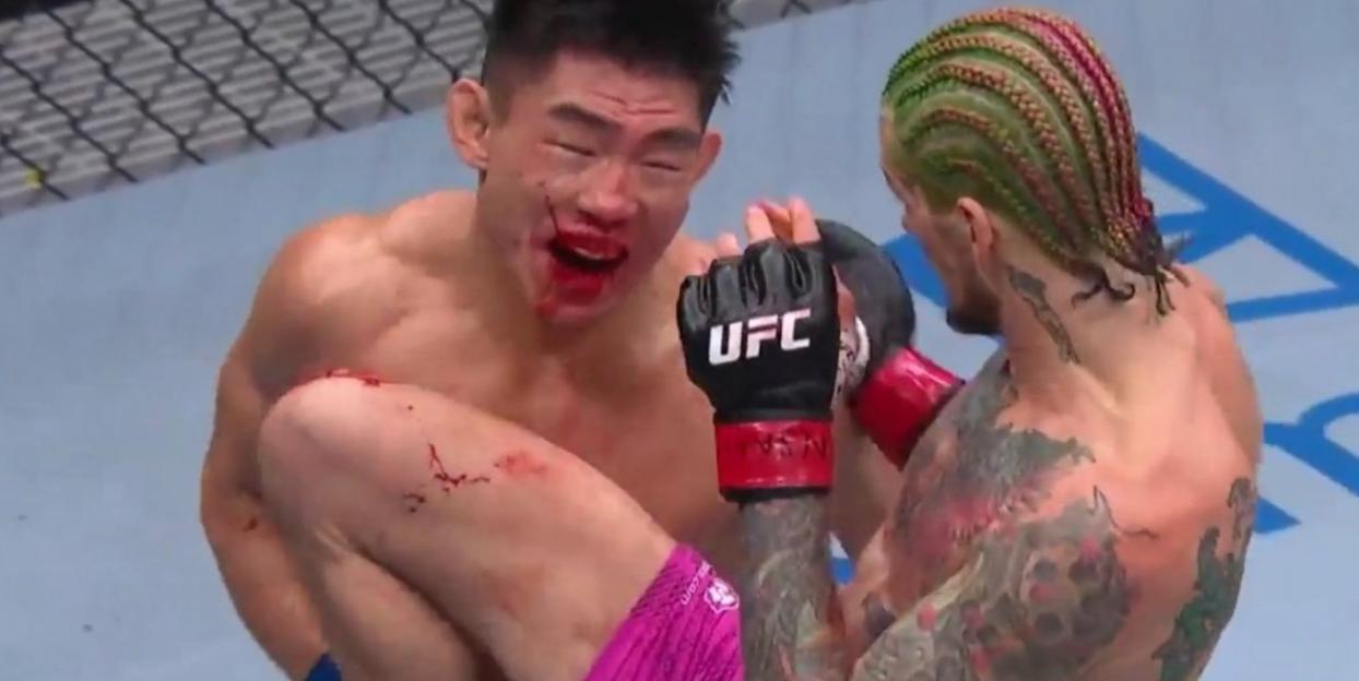 Two UFC fighters, one with a bloody face and the other with multicolored braids, grappling.