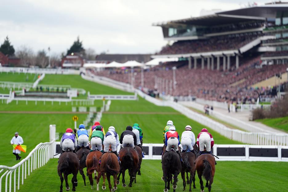 Tragic Loss at Cheltenham Festival: Beloved Horse Hansard Dies After Injuring Himself in Second Race