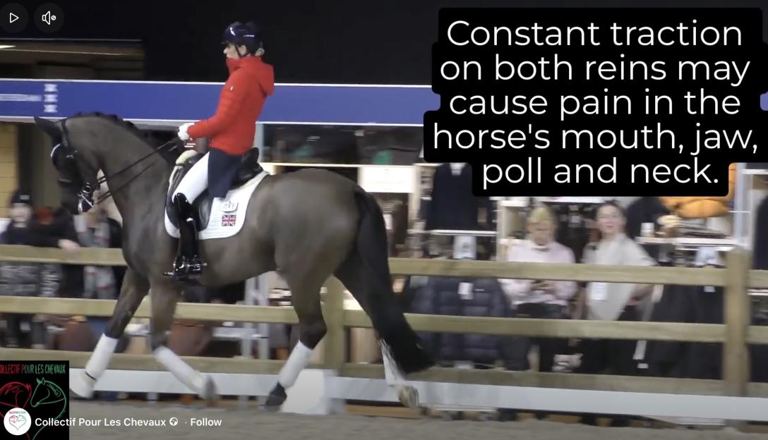 A dressage rider on a horse with text overlay discussing constant rein traction.