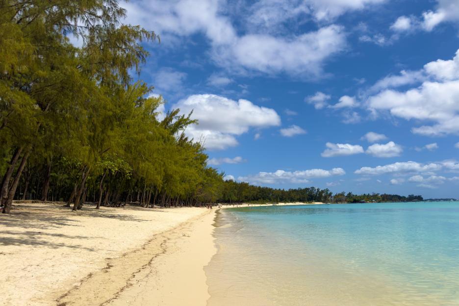 A beautiful sandy beach in Mauritius with green trees lining the shore and calm turquoise water under a blue sky with white clouds.