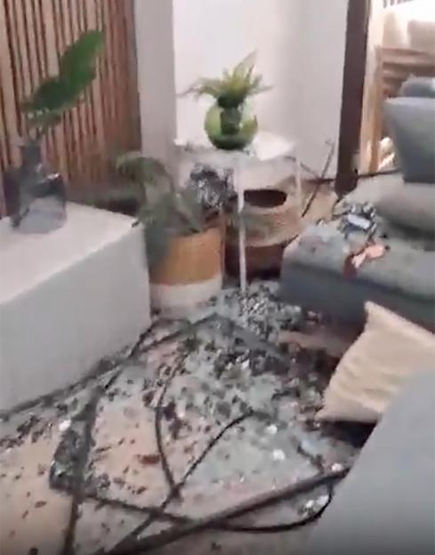 A room with shattered glass on the floor, upturned furniture, and plants in disarray.