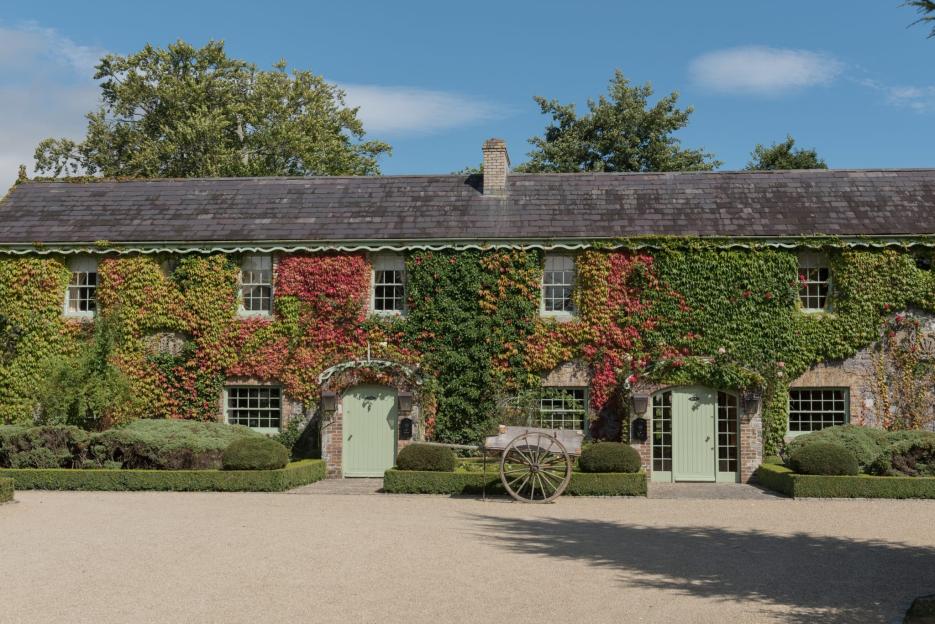 Stone building covered in green and red ivy at Cliff At Lyons.