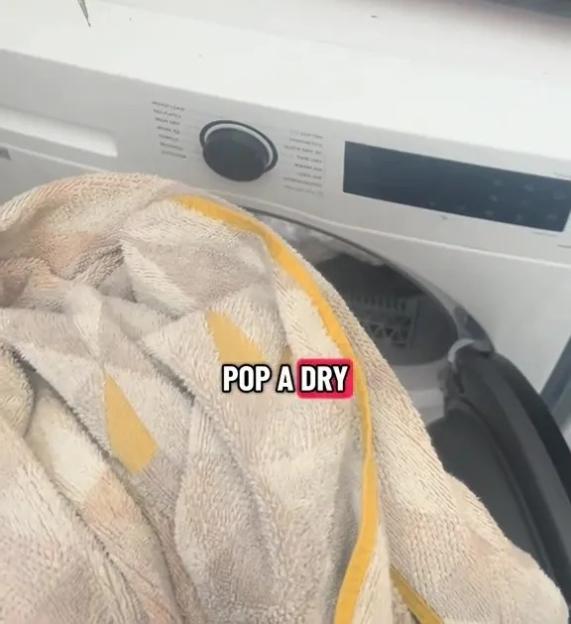 NINTCHDBPICT001042221581