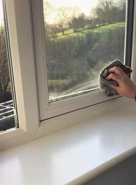 NINTCHDBPICT001048731281